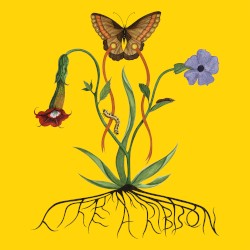 Like a Ribbon