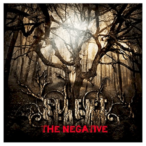 The Negative