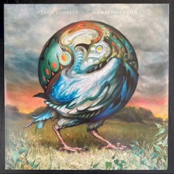 Awake in a Dream / Rainbow Signs