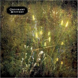Ordinary Mystery