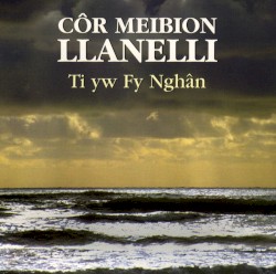 Ti Yw Fy Nghân