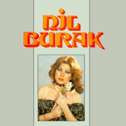 Kırk Yılda Bir