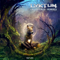 Enlightened Remixes