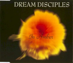 In Amber