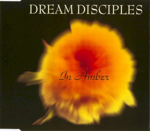 In Amber