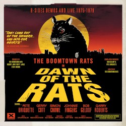 Dawn of the Rats: B‐Sides, Demos and Live 1975–1979