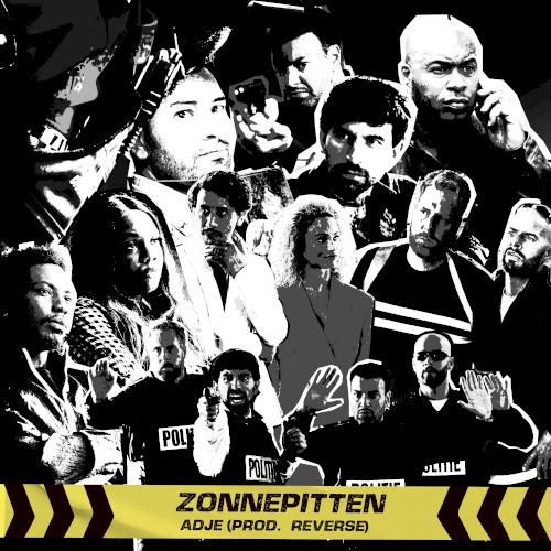 Zonnepitten