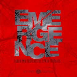 Emergence