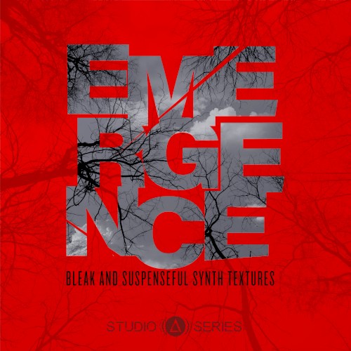 Emergence