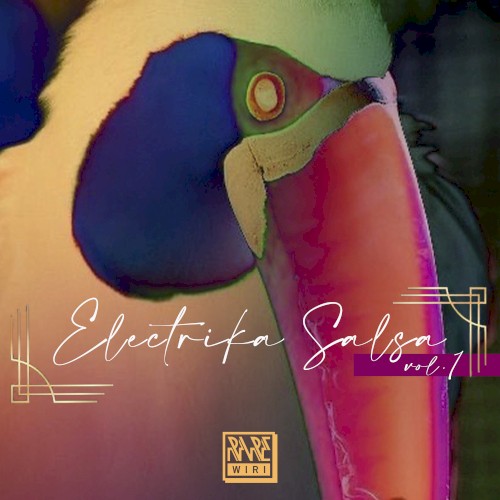 Electrika Salsa, Vol. 1