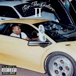 For The Culture II