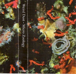 Micro Zoology (A Comprehensive Survey of the Invertebrate)