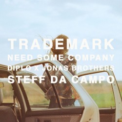 Need Some Company (Diplo X Jonas Brothers X Steff da Campo)