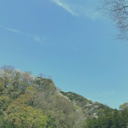Hayama Ambient 032
