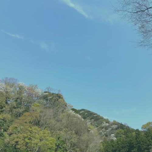 Hayama Ambient 032