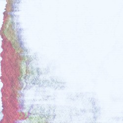 Dorothee Thines