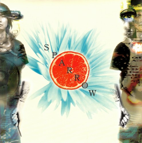 Sparrow