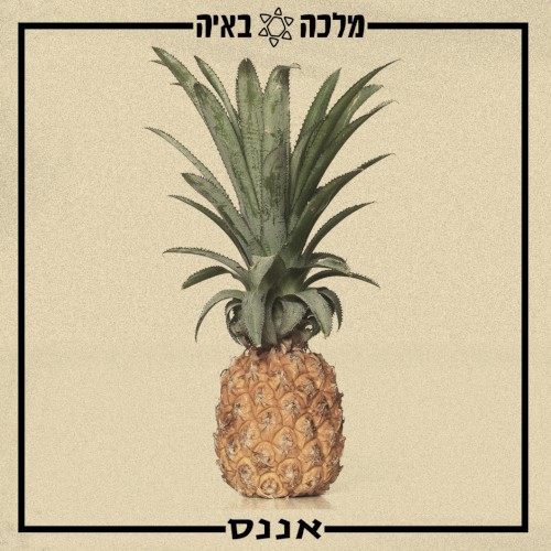 אננס