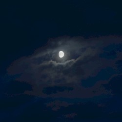 Moonrise