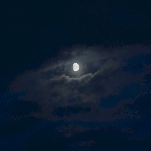 Moonrise