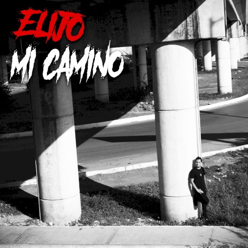 Elijo mi camino