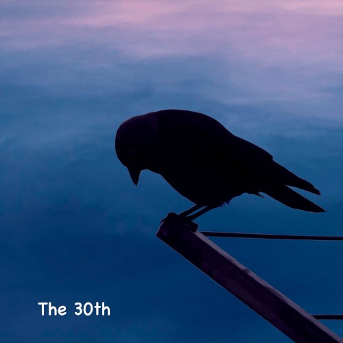 The 30th