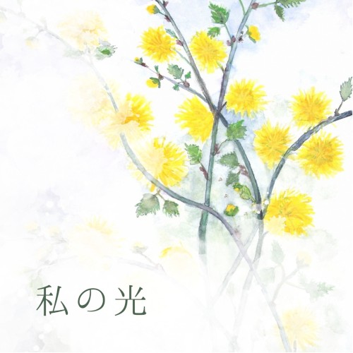 私の光