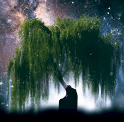 Beneath the Willow