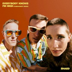 Everybody Knows I’m High (TOBEHONEST remix)