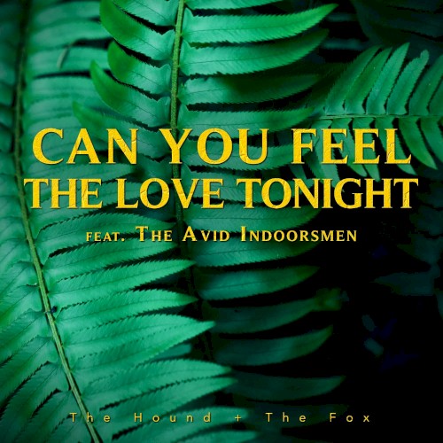 Can You Feel The Love Tonight