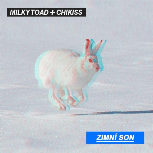 Zimní son
