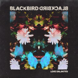 Love Unlimited