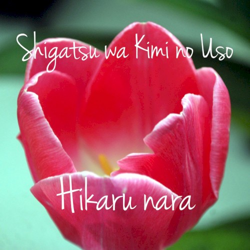 Hikaru nara - Shigatsu wa Kimi no Uso OP