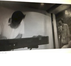 ひかりのうま