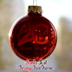 Santa Just Brang Her Home