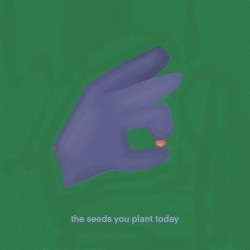 the seeds you plant today