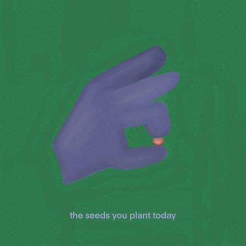 the seeds you plant today