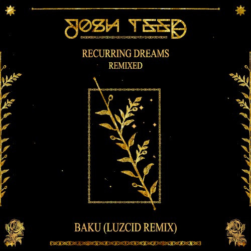 Baku (LUZCID remix)