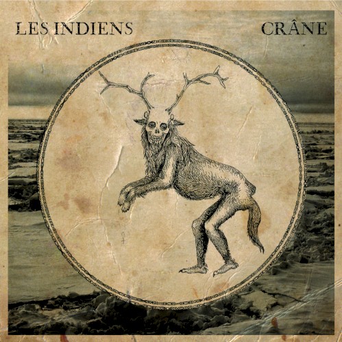 Crâne