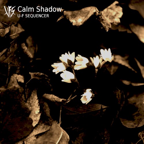Calm Shadow