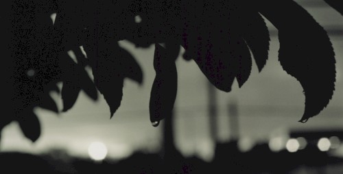 Tomorrow Is Again