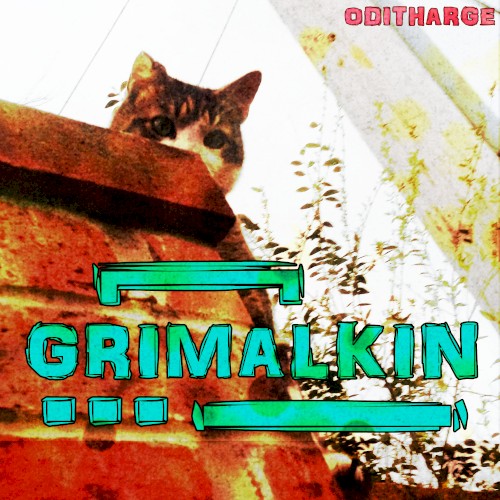 Grimalkin
