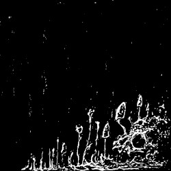 Cavern Deep