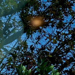 Verschütteter Frühling