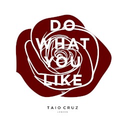 Do What You Like
