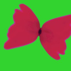Bleached Butterfly