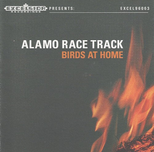 Birds at Home
