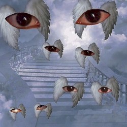 Prying Eyes