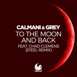 To the Moon and Back (STEEL Remix)