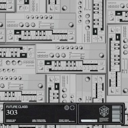 303
